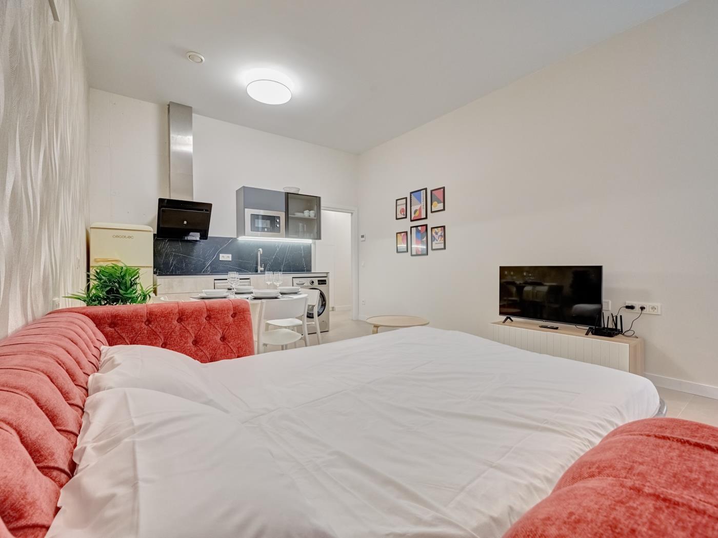 Apartamento Panda C by Clabao en Pamplona