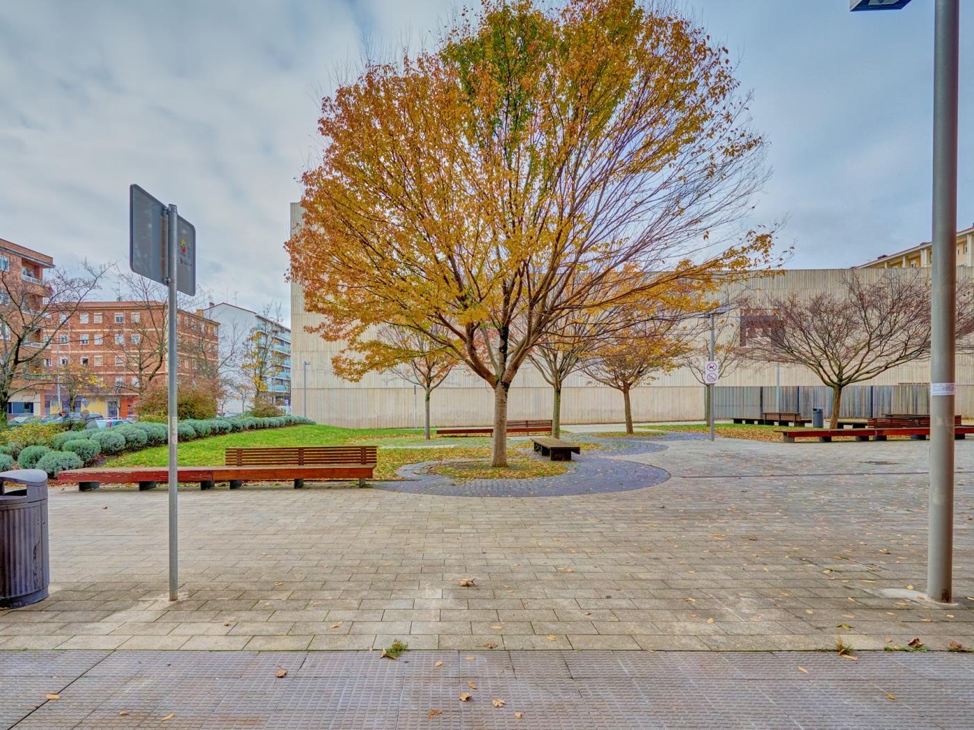 Los olivos by Clabao en Pamplona