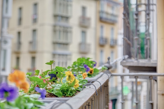 Heart of Pamplona Apartments IV by Clabao en Pamplona
