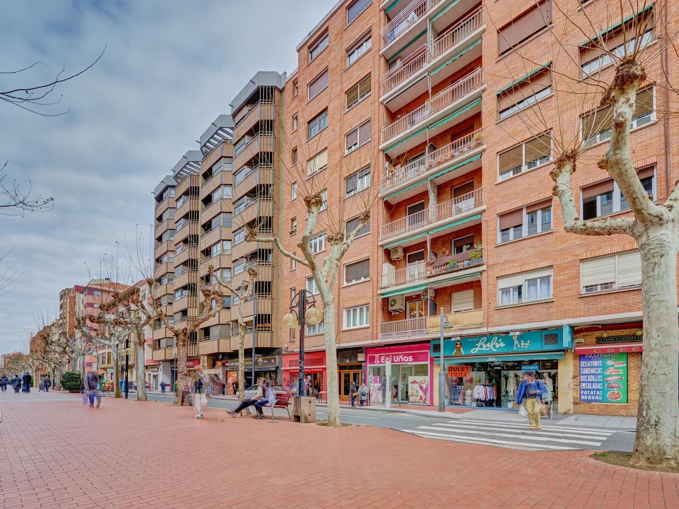 AVP LUXURY FLATS by Clabao en Logroño